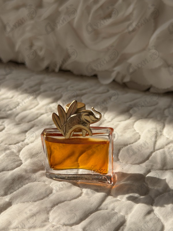 Купить Jungle L'elephant от Kenzo