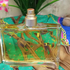 Парфюмерия Jungle L'elephant от Kenzo Отзыв Kenzo Jungle L'elephant