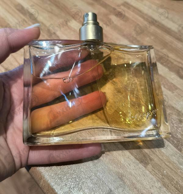 Духи Jungle L'elephant от Kenzo