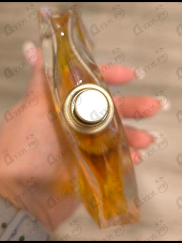 Духи Jungle L'elephant от Kenzo