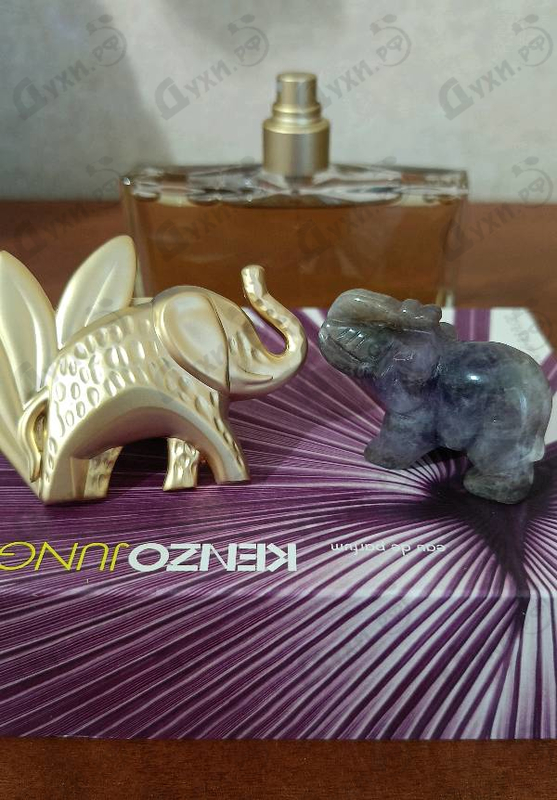 Духи Jungle L'elephant от Kenzo