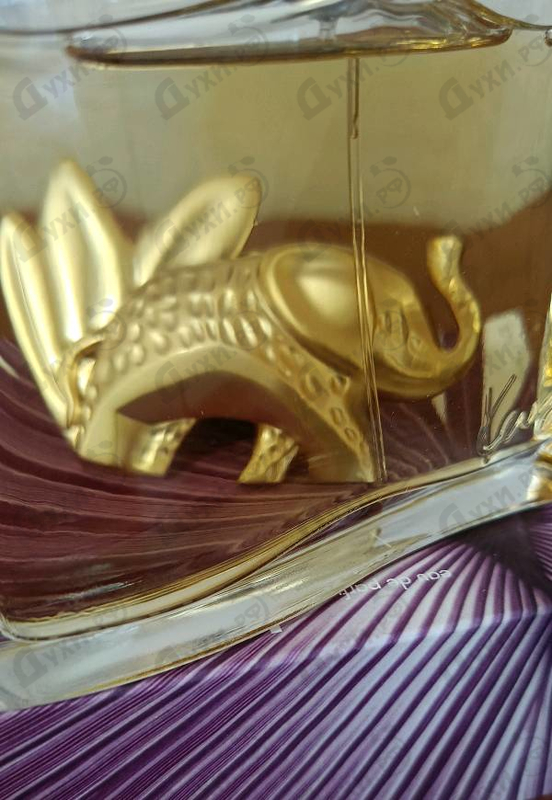 Парфюмерия Kenzo Jungle L'elephant