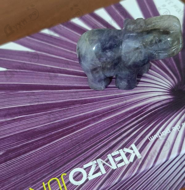 Духи Jungle L'elephant от Kenzo