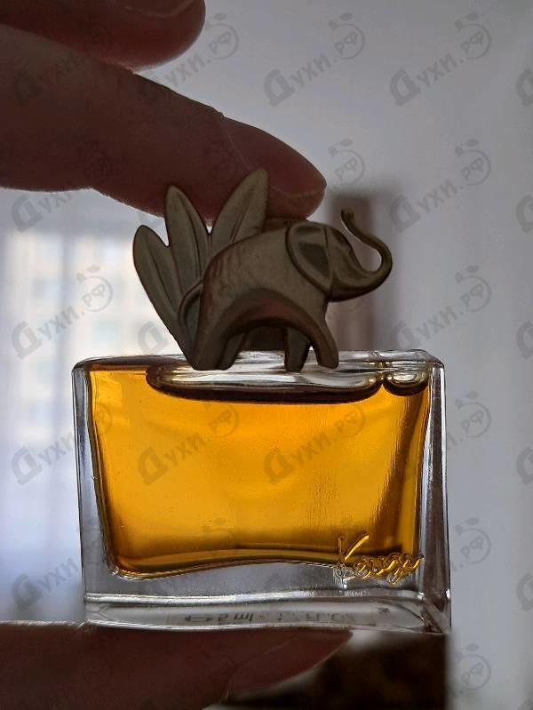 Парфюмерия Kenzo Jungle L'elephant