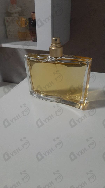 Отзывы Kenzo Jungle L'elephant