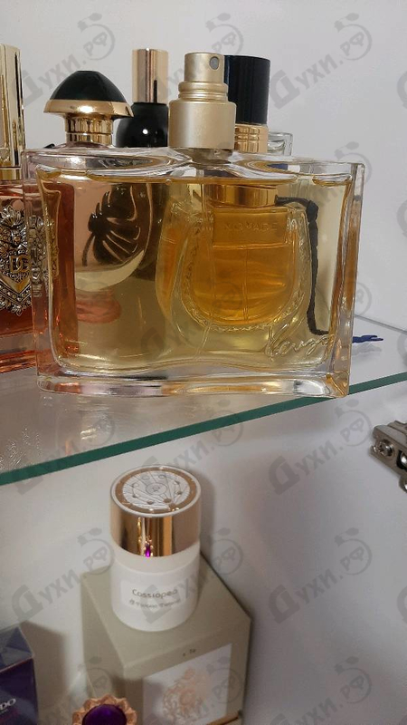 Духи Jungle L'elephant от Kenzo