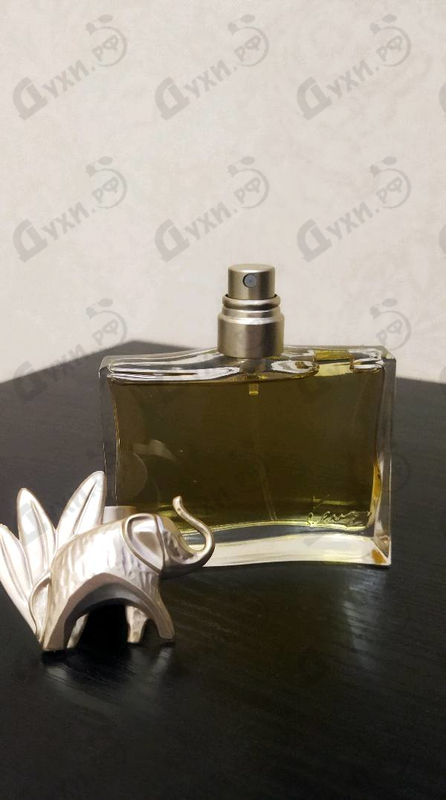 Духи Jungle L'elephant от Kenzo