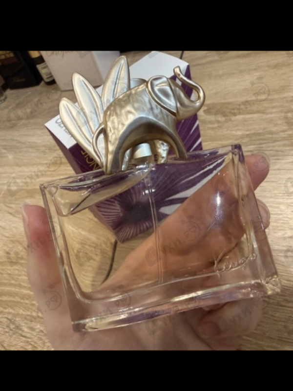 Купить Jungle L'elephant от Kenzo