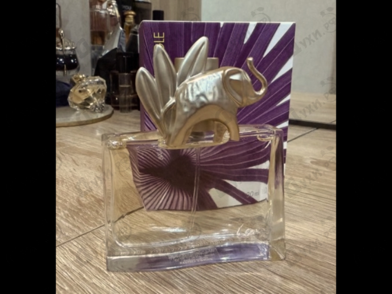 Парфюмерия Jungle L'elephant от Kenzo