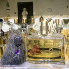 Отзывы Kenzo Jungle L'elephant