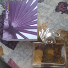 Отзыв Kenzo Jungle L'elephant