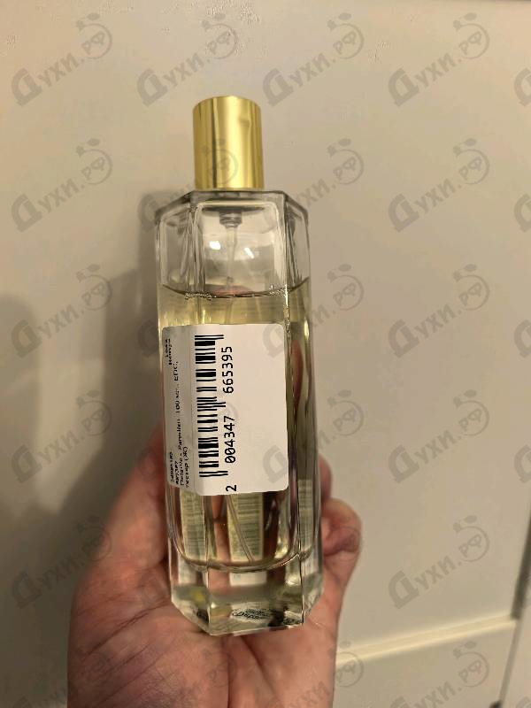 Купить Paradisii от Detaille