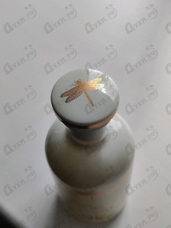 Купить Gucci Tears From The Moon