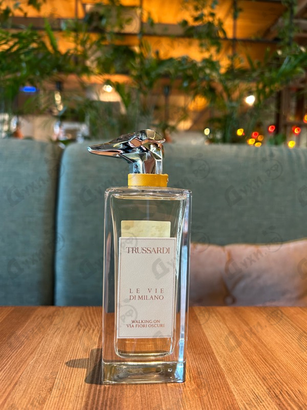 Купить Walking On Via Fiori Oscuri от Trussardi