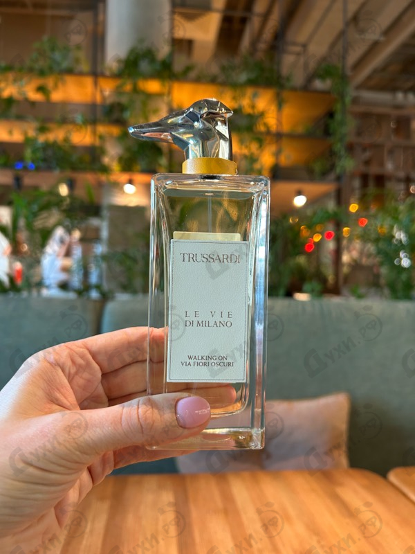 Отзыв Trussardi Walking On Via Fiori Oscuri