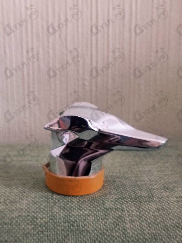 Купить Walking On Via Fiori Oscuri от Trussardi