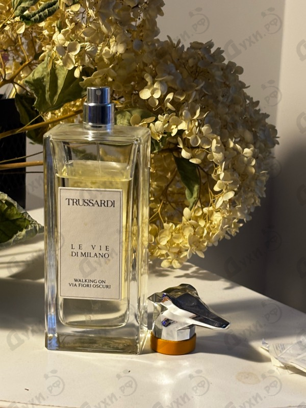 Купить Trussardi Walking On Via Fiori Oscuri