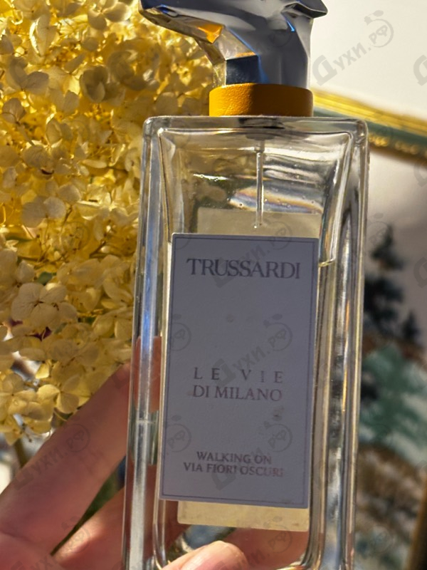 Отзыв Trussardi Walking On Via Fiori Oscuri