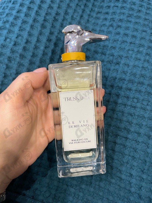 Купить Trussardi Walking On Via Fiori Oscuri