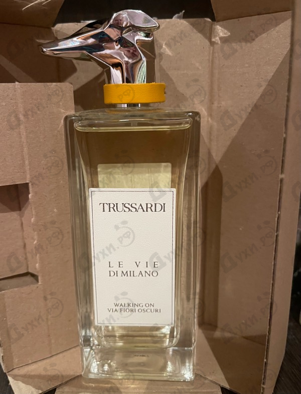 Купить Walking On Via Fiori Oscuri от Trussardi