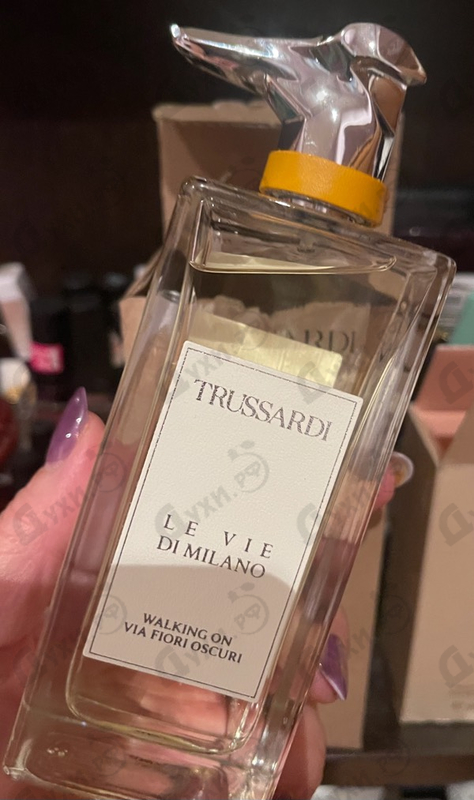 Купить Walking On Via Fiori Oscuri от Trussardi