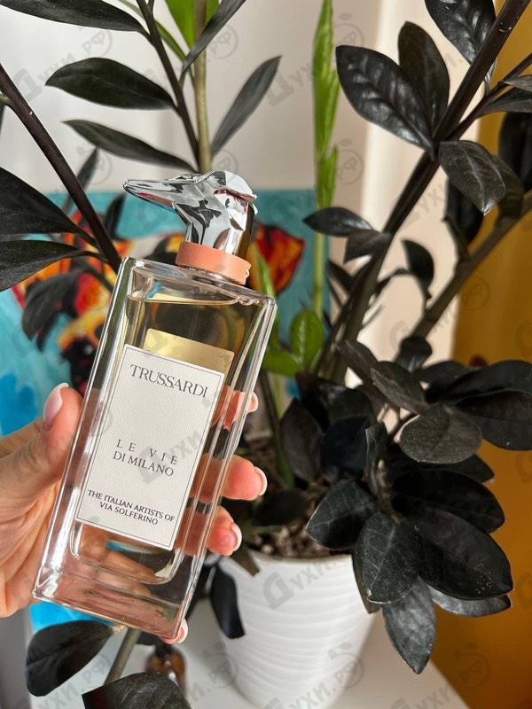 Купить The Italian Artists Of Via Solferino от Trussardi