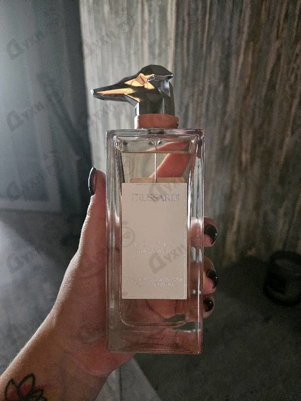 Купить Trussardi The Italian Artists Of Via Solferino