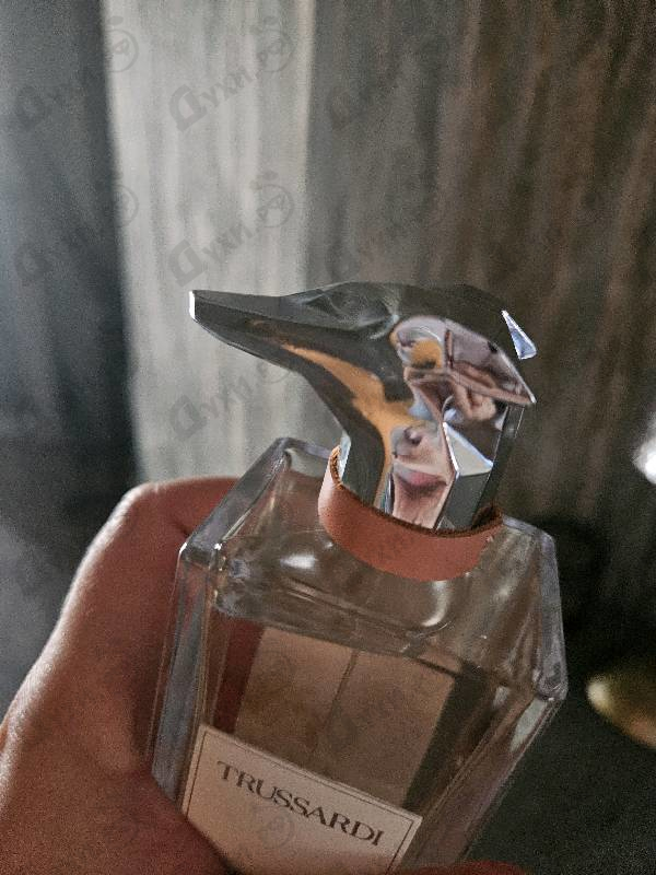 Отзывы Trussardi The Italian Artists Of Via Solferino