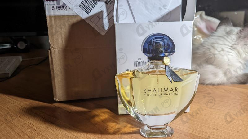 Отзывы Guerlain Shalimar Philtre De Parfum