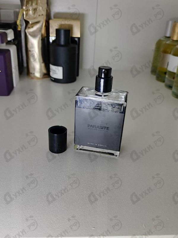 Купить Parasite от Moth And Rabbit Perfumes