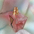 Купить Seductive Kiss от Guess