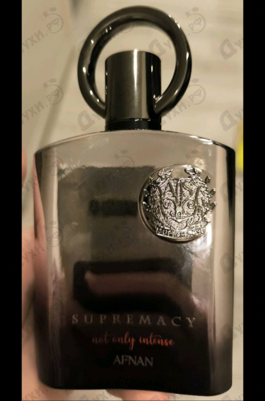 Купить Supremacy  Not Only Intense от Afnan