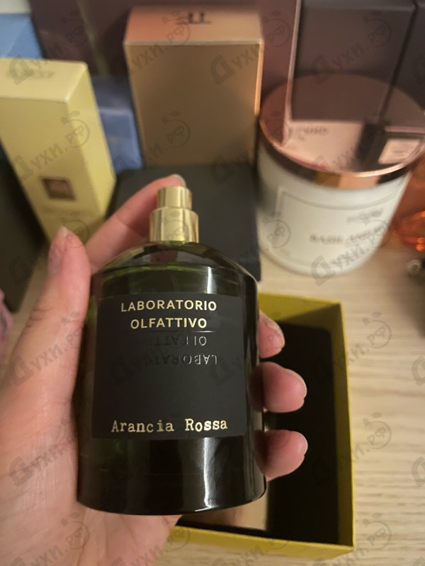 Купить Arancia Rossa от Laboratorio Olfattivo