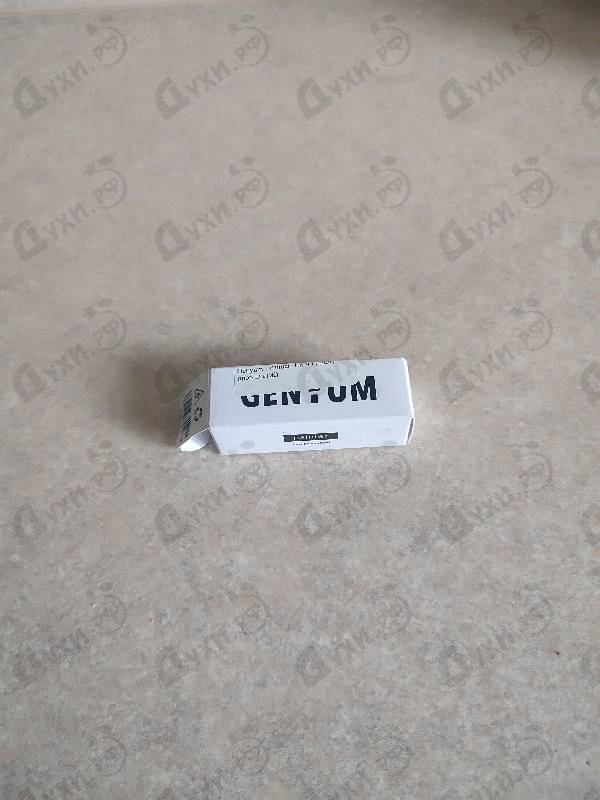 Купить Painter от Genyum