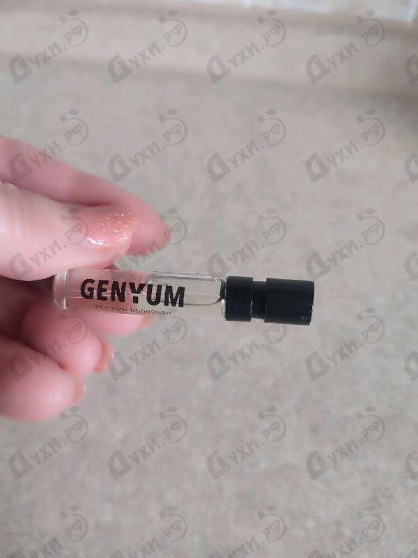 Купить Painter от Genyum