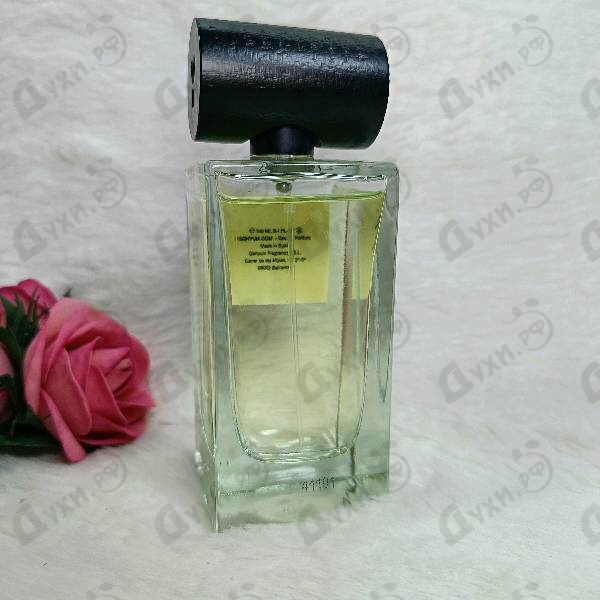 Отзыв Genyum Painter