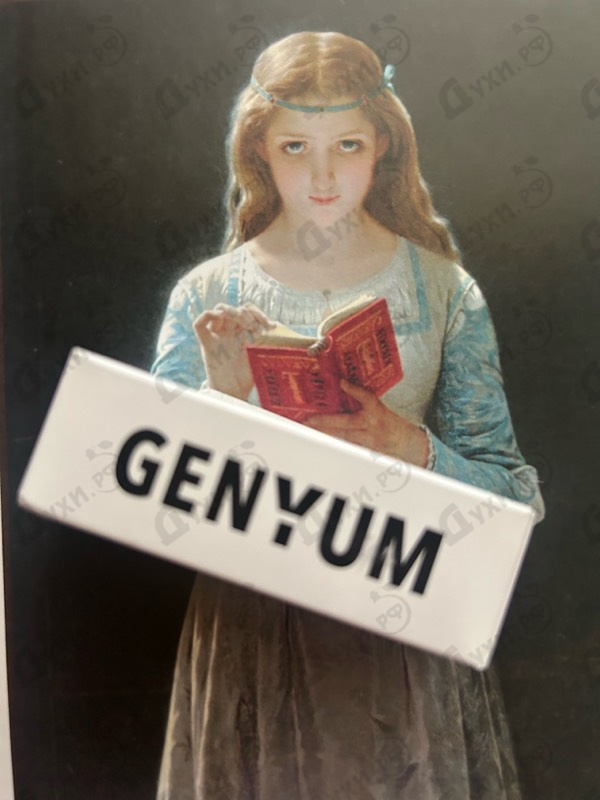 Купить Painter от Genyum