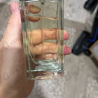 Отзыв Genyum Painter