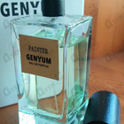 Отзыв Genyum Painter