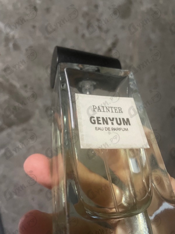 Отзыв Genyum Painter