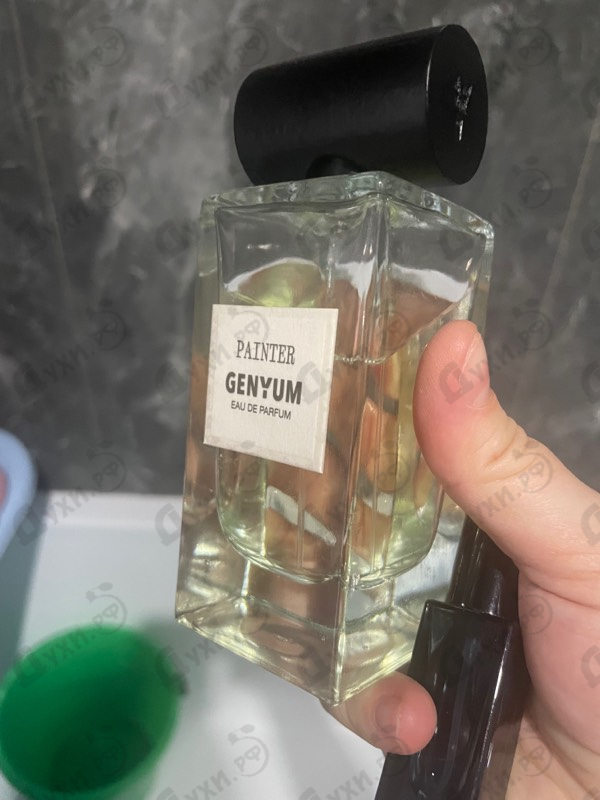 Купить Painter от Genyum