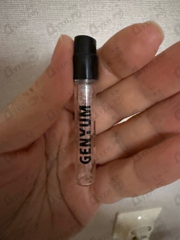 Купить Genyum Painter