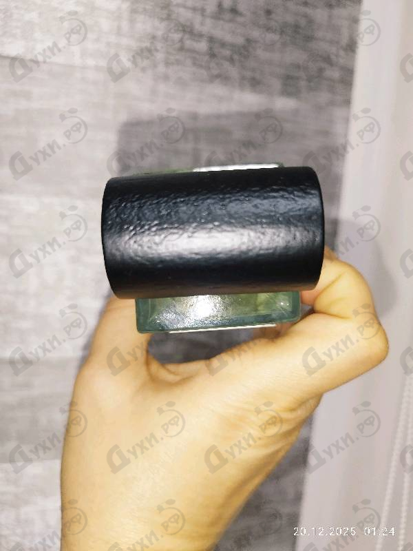 Купить Painter от Genyum