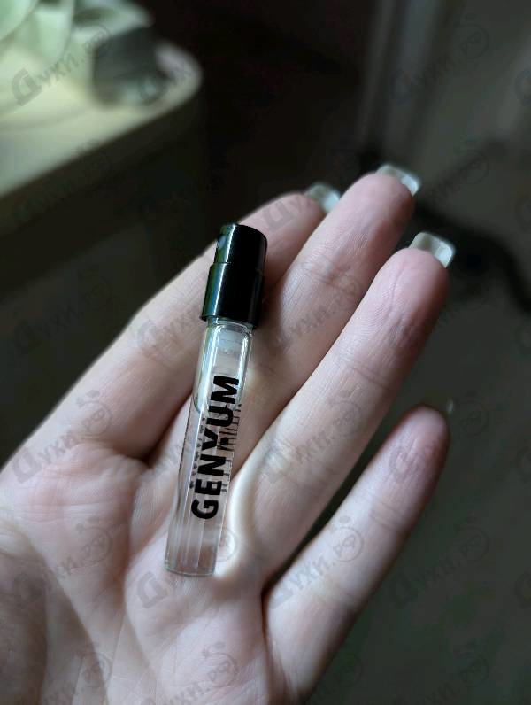 Отзывы Genyum Painter