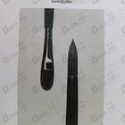 Парфюм Genyum Painter