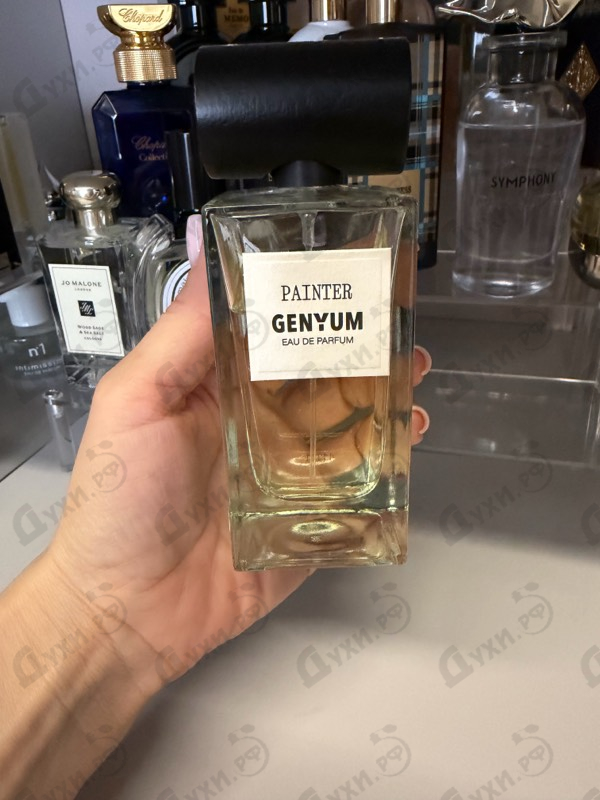 Купить Painter от Genyum