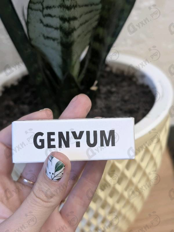 Купить Painter от Genyum