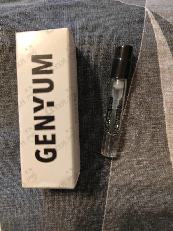 Купить Painter от Genyum