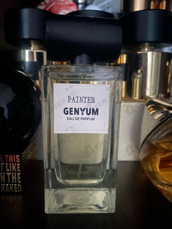 Отзыв Genyum Painter