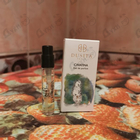 Отзыв Dusita Cavatina